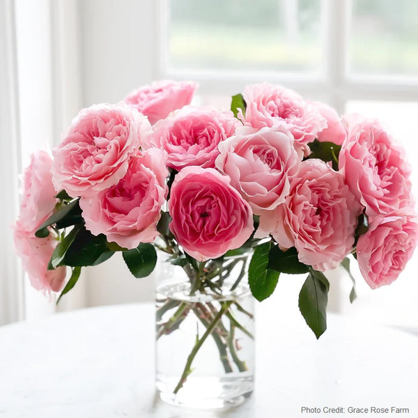 roses for new mom