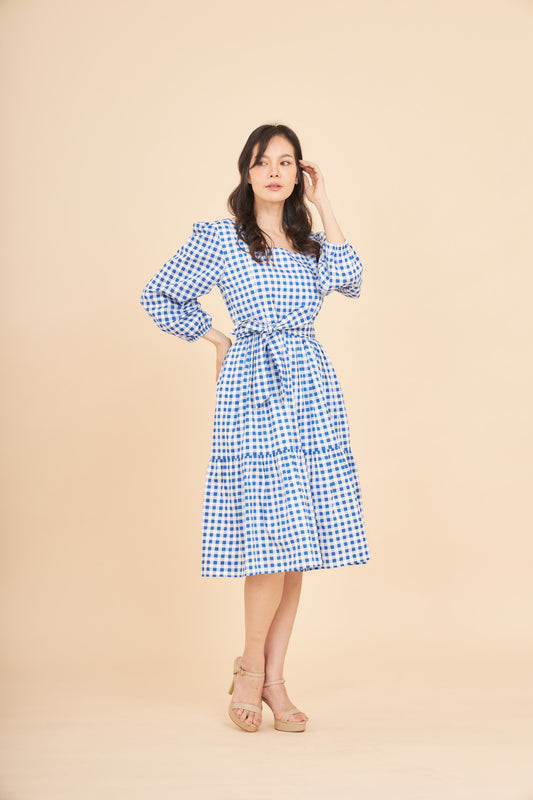 Embrace Long Sleeve Dress with Nursing Zippers in Blue Gingham (Final Sale)