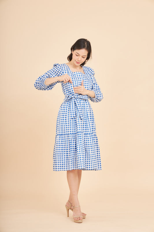 Embrace Long Sleeve Dress with Nursing Zippers in Blue Gingham (Final Sale)